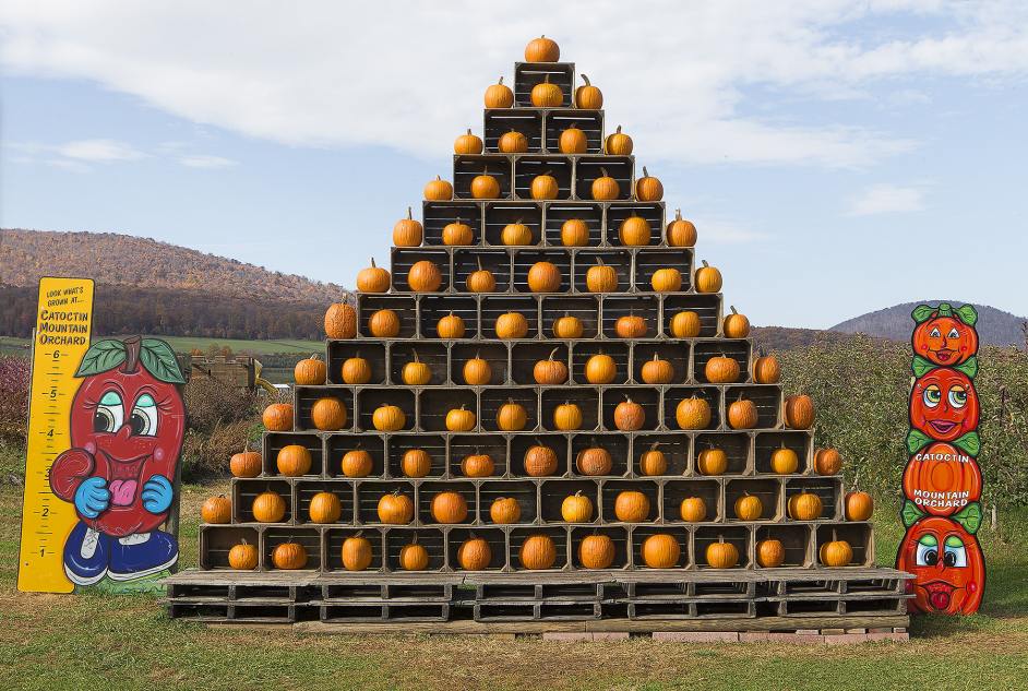 Carry that weight.jpg